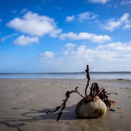 Meerblick 37 Dom wakacyjny