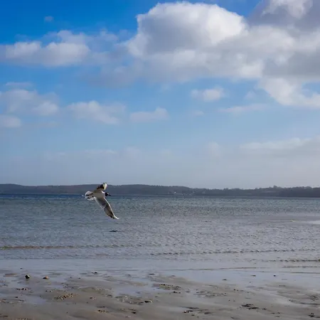 Dom wakacyjny Meerblick 37 Glücksburg