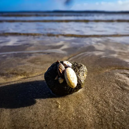 Meerblick 37 Dom wakacyjny Glücksburg