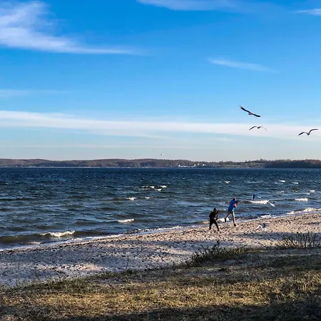 Dom wakacyjny Meerblick 37 *
